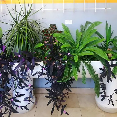 Monika Appartamento *